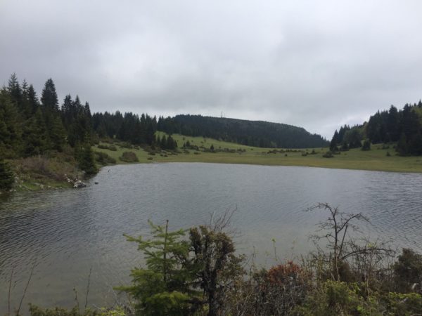 13308585_1718946955029267_3165475948071807185_o